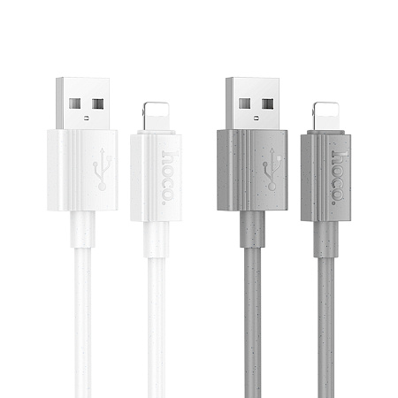 Дата-кабель USB 2.4A для Lightning 8-pin Hoco X107 ПВХ 1м
